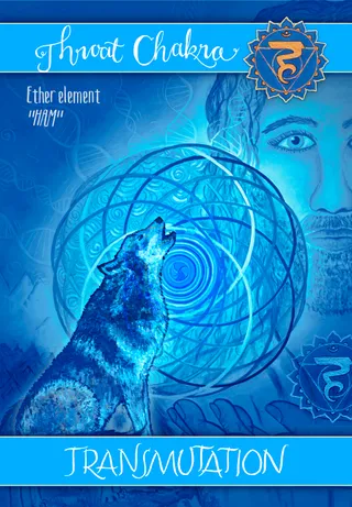 Transmutation card