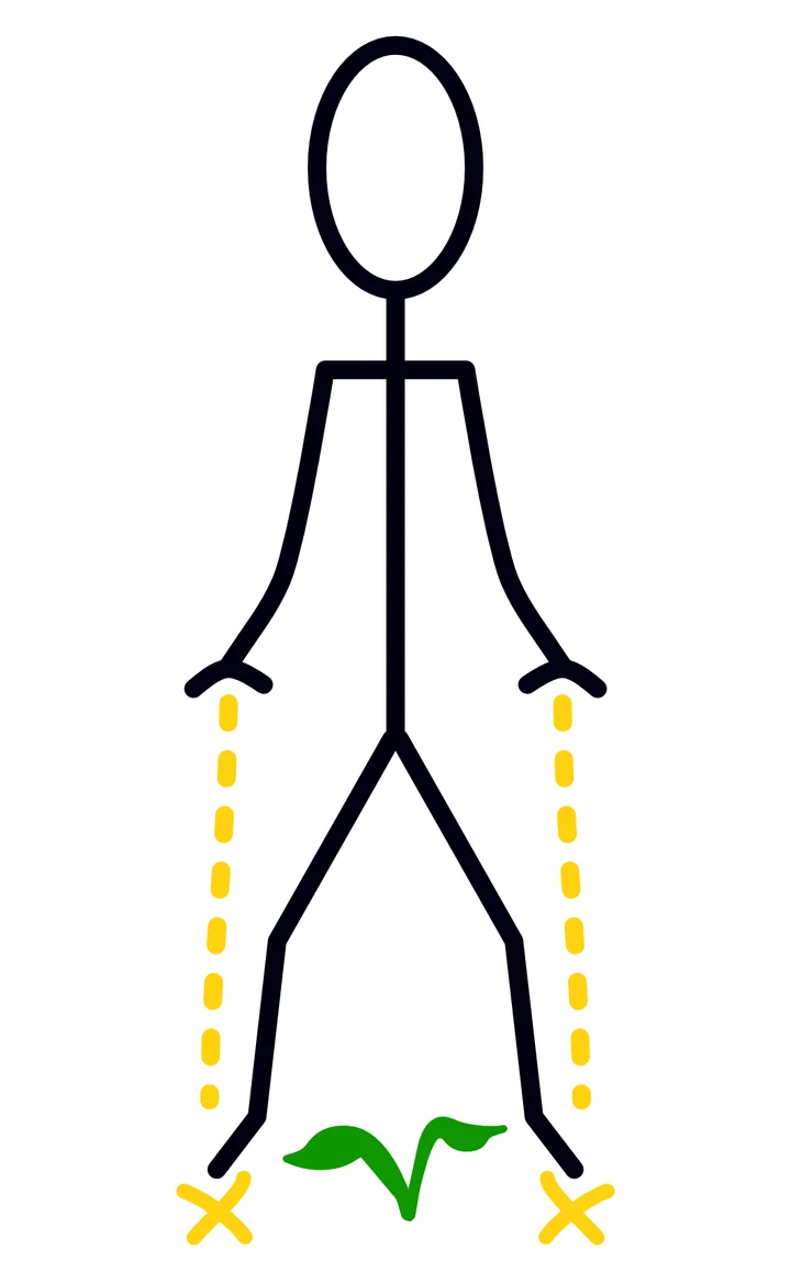 Stick figure standing with knees soft, palms facing down at the sides of the hips, dashed lines running down the legs to two marks on the ground, with a small green sprout planted between the feet.